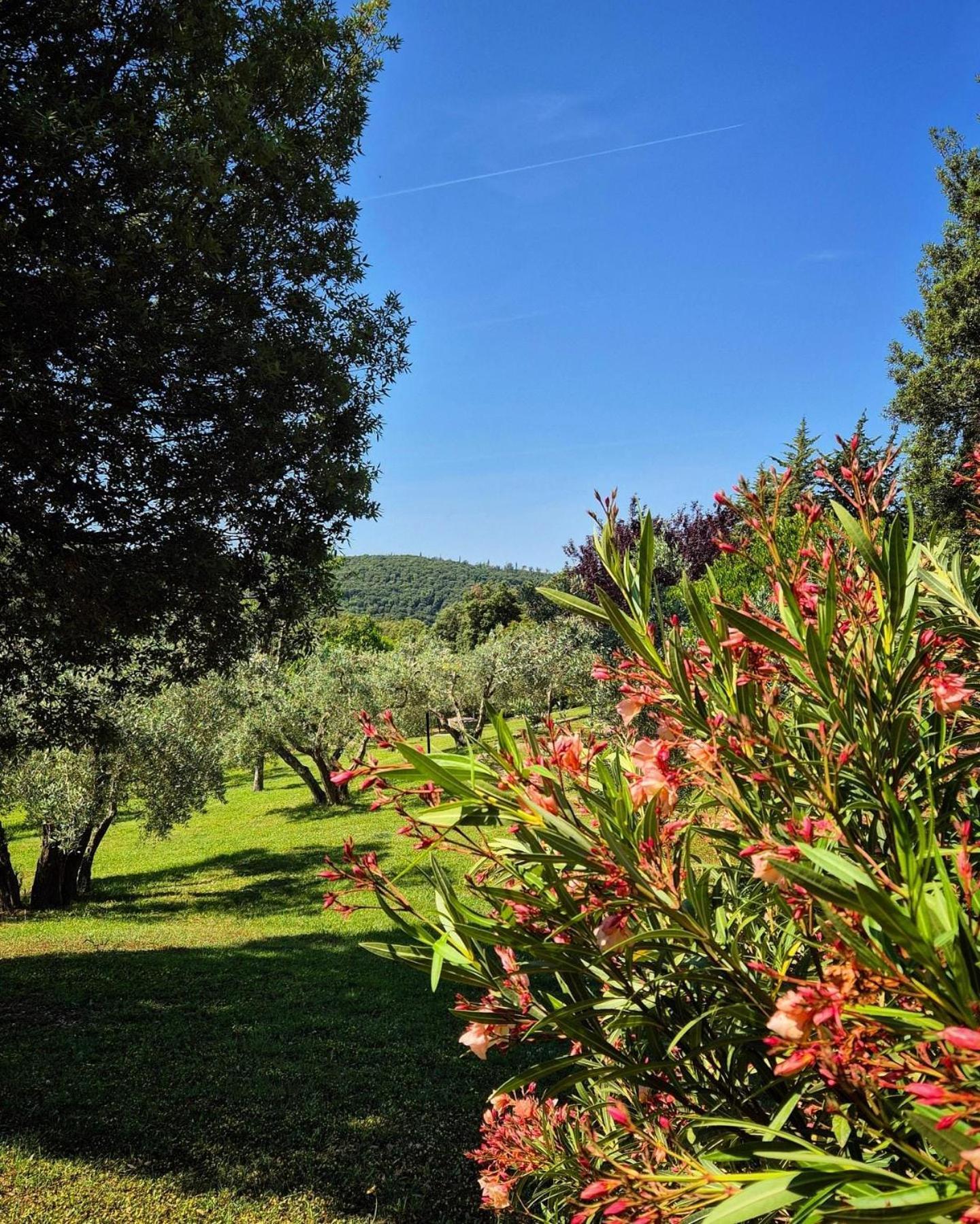 Tenuta Aronne มัสซามาริตติมา ภายนอก รูปภาพ
