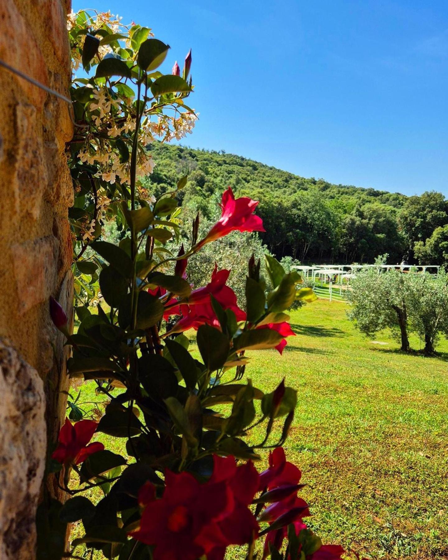 Tenuta Aronne มัสซามาริตติมา ภายนอก รูปภาพ